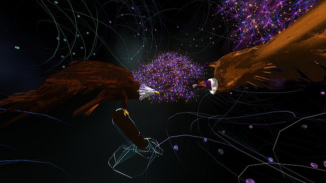 Colibri XR Immersive Art Gallery