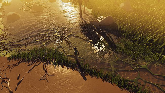 Walking With The Wild