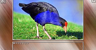 Super Jigsaw Puzzle: Generations - Birds Puzzles