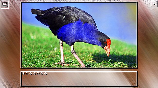 Super Jigsaw Puzzle: Generations - Birds Puzzles