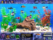 Fish Tycoon