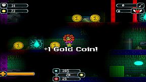 The Valley of Super Flowers