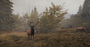 theHunter: Call of the Wild - Facing the Wild 1