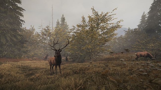 theHunter: Call of the Wild - Facing the Wild 1