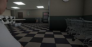 Laundromat Anomaly