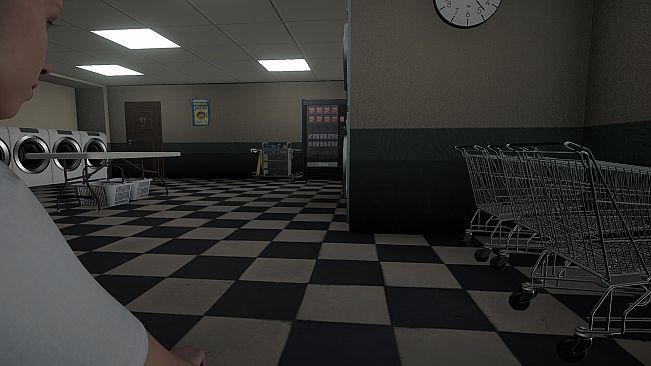 Laundromat Anomaly