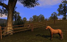 Agricultural Simulator 2011: Extended Edition