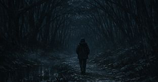 The Night Walk