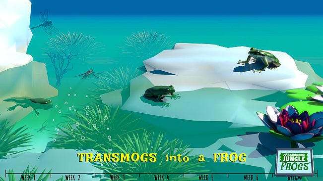 Markerboard Jungle: Frogs