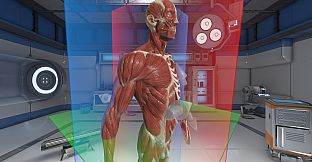 The Physiology of the Eye