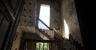 Within the Shadowed Halls