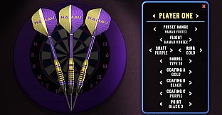 Dan Sisal's 501 Darts Trainer