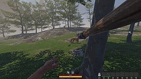 QUESTSCAPE: Survival