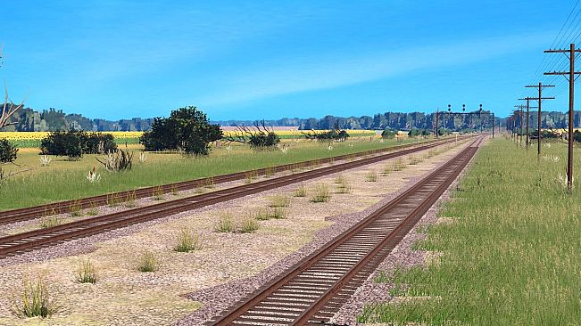 Trainz 2022 DLC - [TL] Bald Knob - Wynne
