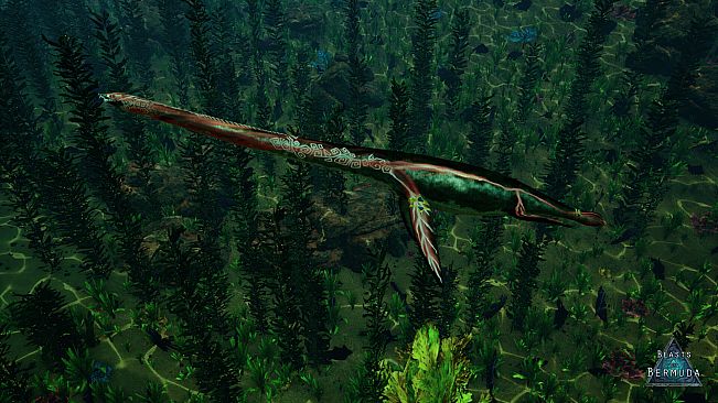Beasts of Bermuda - Elasmosaurus Supporter Warpaint