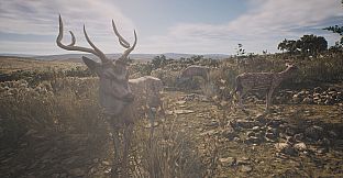 PROJECT HUNT - LONE STAR HUNTING RANCH