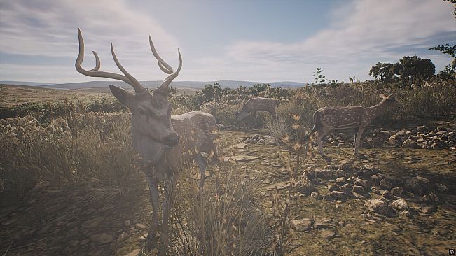 PROJECT HUNT - LONE STAR HUNTING RANCH