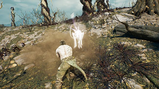 Last Reach