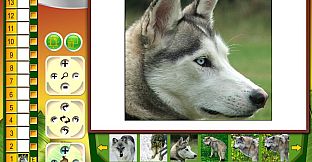 Wildlife Creative Studio