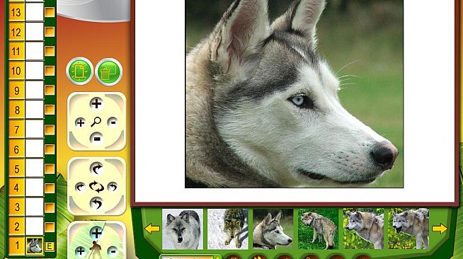 Wildlife Creative Studio