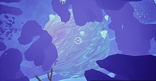 OuterTide