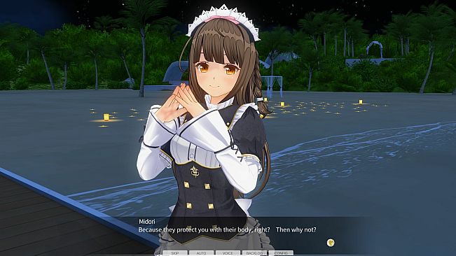 CUSTOM ORDER MAID 3D2&2.5+ X1+Vol.02