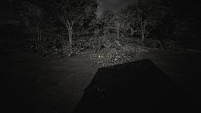 The Memory In Walden Pond