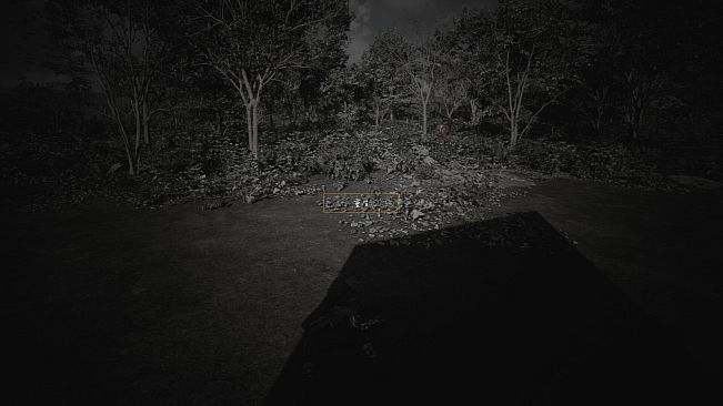 The Memory In Walden Pond