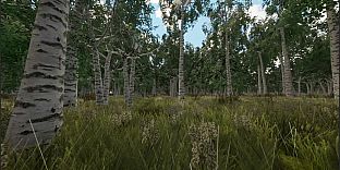 Tree Hugging Simulator