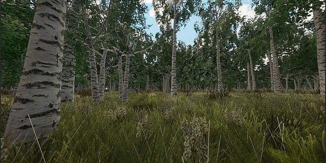Tree Hugging Simulator