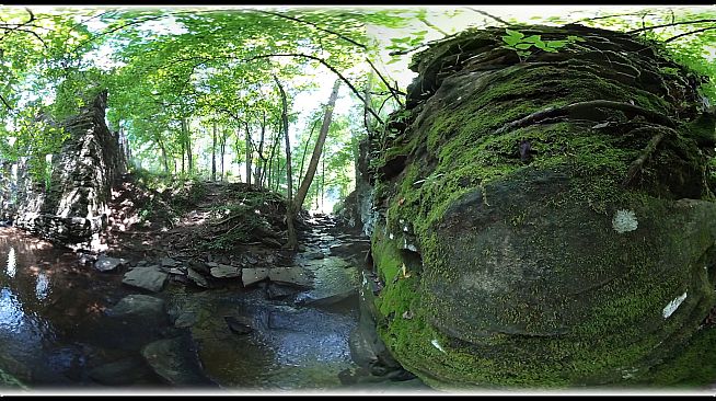 Exhale XR - Fortitude - Spoken Word