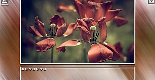 Super Jigsaw Puzzle: Generations - Flowers Puzzles