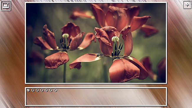 Super Jigsaw Puzzle: Generations - Flowers Puzzles