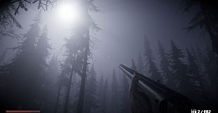 Horror in the forest