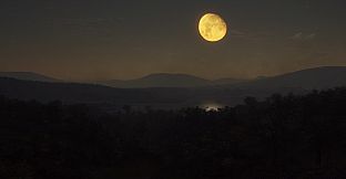 theHunter: Call of the Wild - Parque Fernando