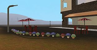 Bella Cozy Island