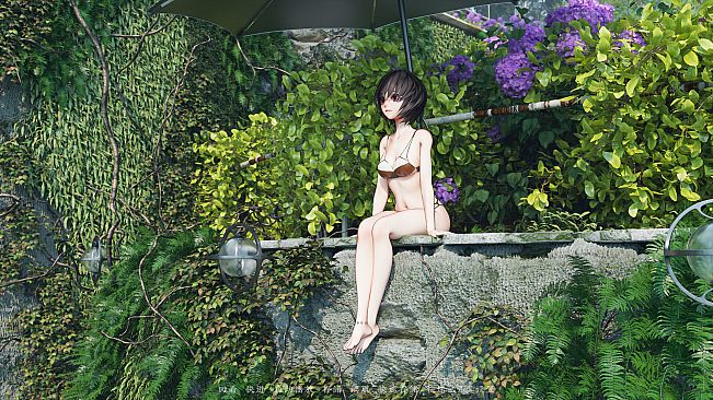 The Neverland of the Mountain and Sea