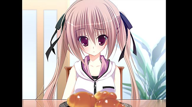 妹調教日記