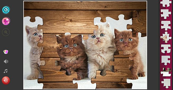 Cat's Life Jigsaw Puzzles