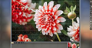 Pixel Puzzles Traditional Jigsaws Pack: Variety Pack 10