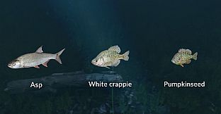 Ultimate Fishing Simulator - New Fish Species