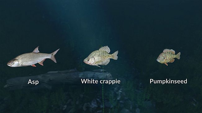 Ultimate Fishing Simulator - New Fish Species