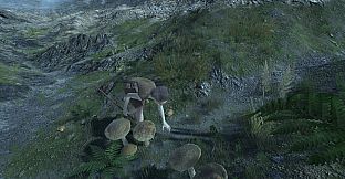 Skara