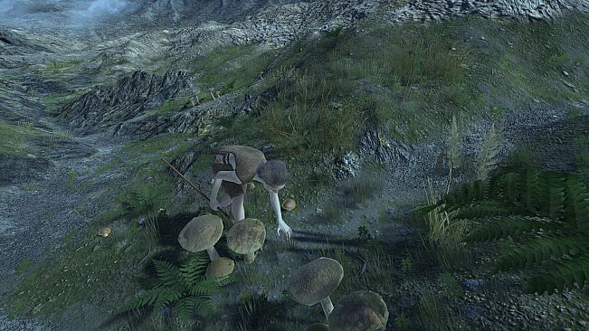 Skara