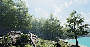 Secrets of a Campfire