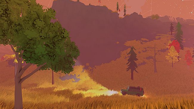 chasing the wildrness