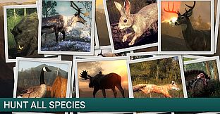 theHunter - Duck Hunter