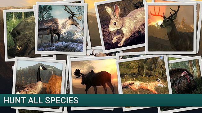 theHunter - Duck Hunter