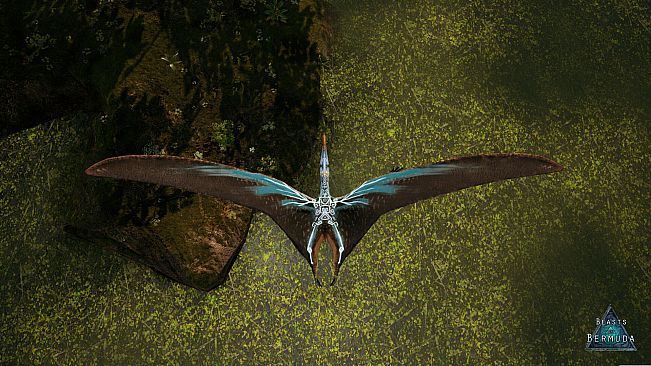 Beasts of Bermuda - Tropeognathus Supporter Warpaint