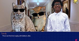 Cat President: 3rd-Rate Candidate